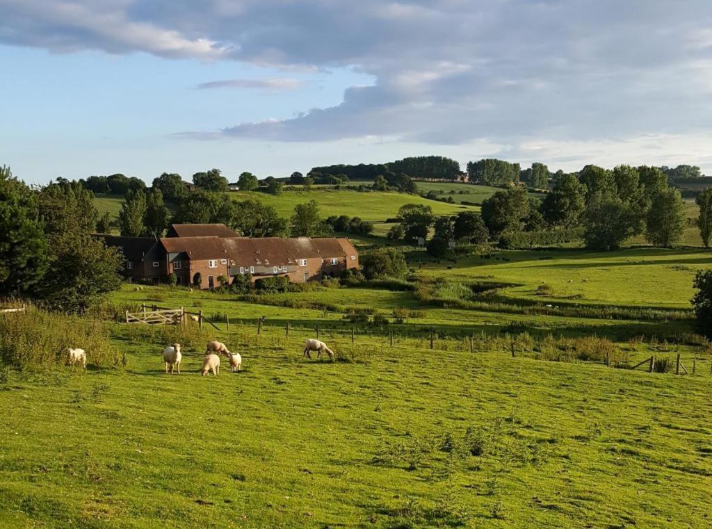Winchelsea Lodge Bagian luar foto